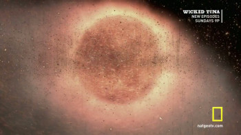 Earth: Making of a Planet (2011) download