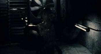 Eden Log (2007) download