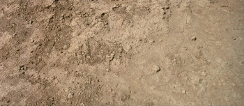 El Alamein - The Line of Fire (2002) download