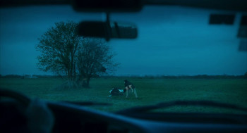 Electrophilia (2023) download