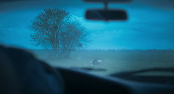 Electrophilia (2023) download