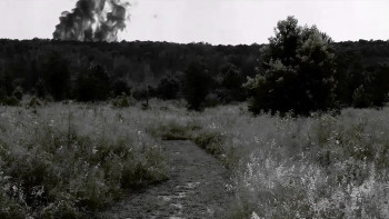 End Survival (2020) download