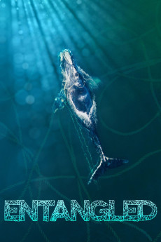 Entangled: The Race to Save Right Whales from Extinction (2020) download