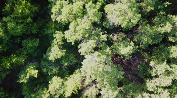 Envelop(e) (2020) download