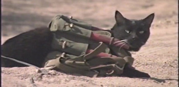 Equinox Knocks (1999) download