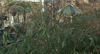 Error (2007) download