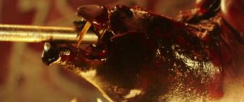 Escape (2024) download