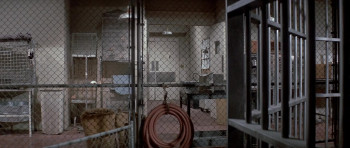 Escape from the Planet of the Apes (1971) download