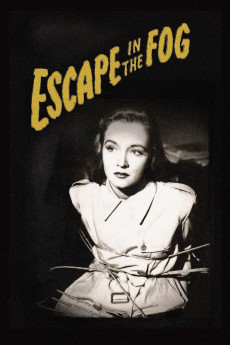 Escape in the Fog (1945) download