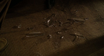 Every Day (2010) download