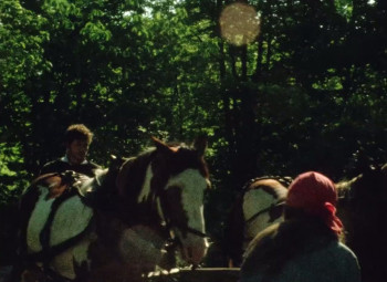 Everything Everywhere Again Alive (1975) download