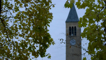 Fail State (2017) download