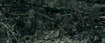 Fallen (2022) download