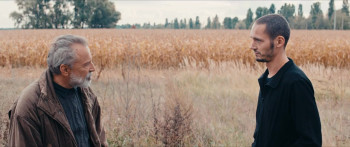 Falling (2017) download