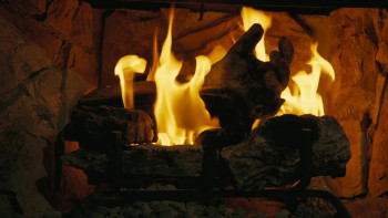 Fallout: The Ghoul Log (2025) download