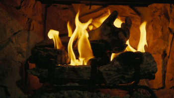 Fallout: The Ghoul Log (2025) download