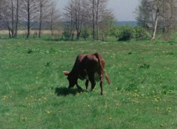 Faro Document 1979 (1979) download