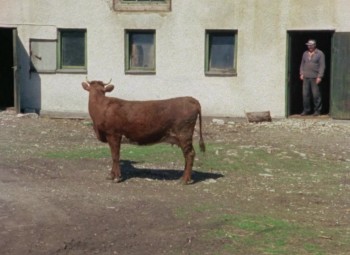 Faro Document 1979 (1979) download