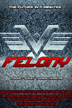 Felony (2014) download
