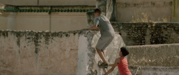 Fez Summer '55 (2023) download