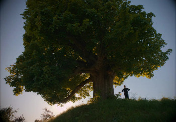 Finding Harmony: A King's Vision (2026) download