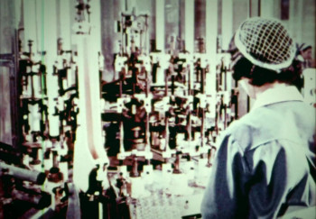 Finding Harmony: A King's Vision (2026) download