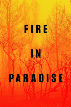 Fire in Paradise (2019) download