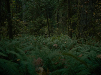 First Cow (2019) download