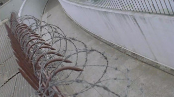 Fist of Fury 1991 (1991) download