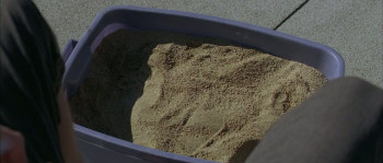 Five Star Day (2010) download