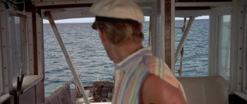 Flipper (1996) download