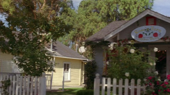 Flower Girl (2009) download