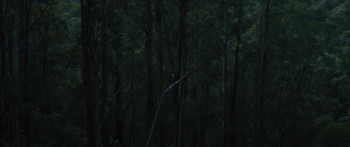 Force of Nature (2024) download