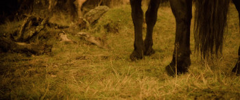 Forgive Us All (2025) download