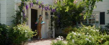 Freakier Friday (2025) download