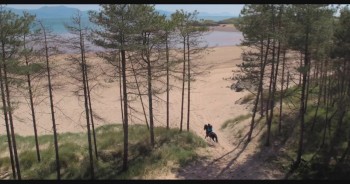 Free Rein The 12 Neighs of Christmas (2018) download