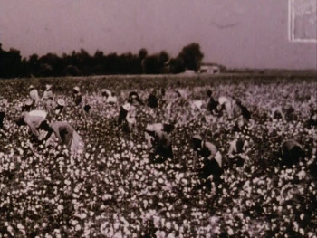 Freedom on My Mind (1994) download