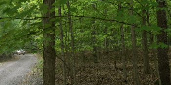 Frenzy Moon (2025) download