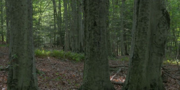 Frenzy Moon (2025) download