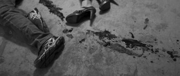 Friend of the World (2020) download