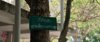 Frozen Hot Boys (2025) download