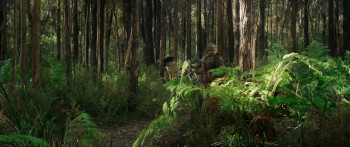 Furiosa: A Mad Max Saga (2024) download