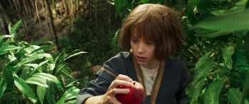 Furiosa: A Mad Max Saga (2024) download