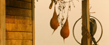 Gam Gam Ganesha (2024) download