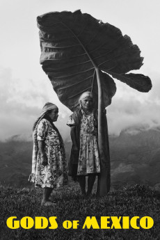 Gods of Mexico (2022) download