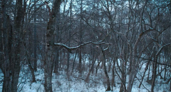 Golden Kamuy (2024) download