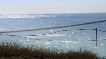 Gone Missing (2013) download