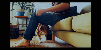 Good Boy (2025) download