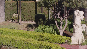 Good Mourning, Lucille (2014) download