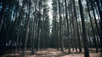 Grace Point (2023) download